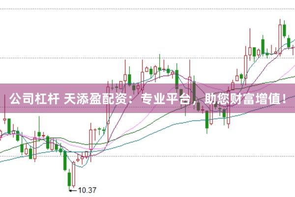 公司杠杆 天添盈配资：专业平台，助您财富增值！