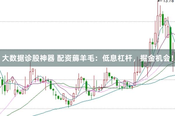 大数据诊股神器 配资薅羊毛：低息杠杆，掘金机会！