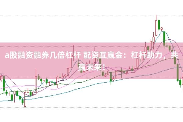 a股融资融券几倍杠杆 配资互赢金：杠杆助力，共赢未来！
