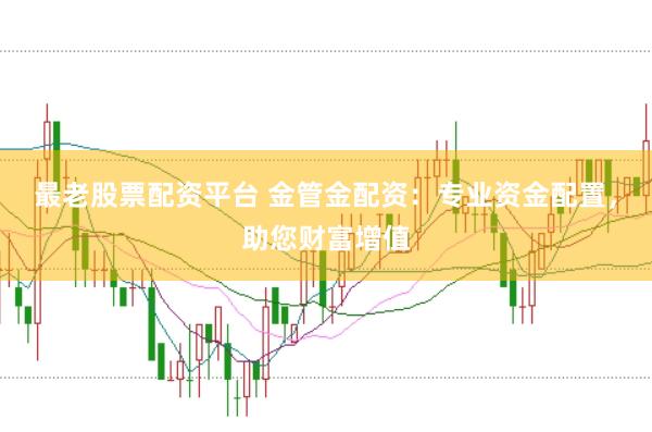 最老股票配资平台 金管金配资：专业资金配置，助您财富增值