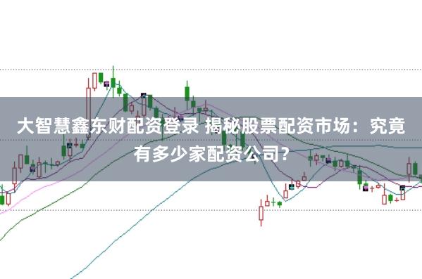 大智慧鑫东财配资登录 揭秘股票配资市场：究竟有多少家配资公司？