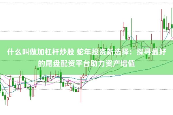 什么叫做加杠杆炒股 蛇年投资新选择：探寻最好的尾盘配资平台助力资产增值