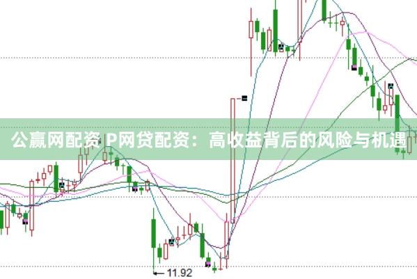 公赢网配资 P网贷配资：高收益背后的风险与机遇