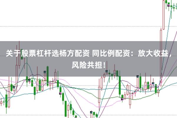 关于股票杠杆选杨方配资 同比例配资：放大收益，风险共担！