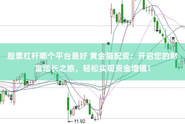 股票杠杆哪个平台最好 黄金猫配资：开启您的财富增长之旅，轻松实现资金增值！