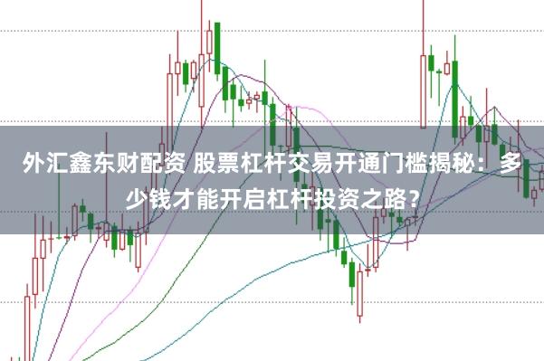 外汇鑫东财配资 股票杠杆交易开通门槛揭秘：多少钱才能开启杠杆投资之路？