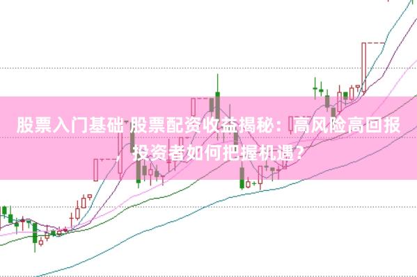 股票入门基础 股票配资收益揭秘：高风险高回报，投资者如何把握机遇？