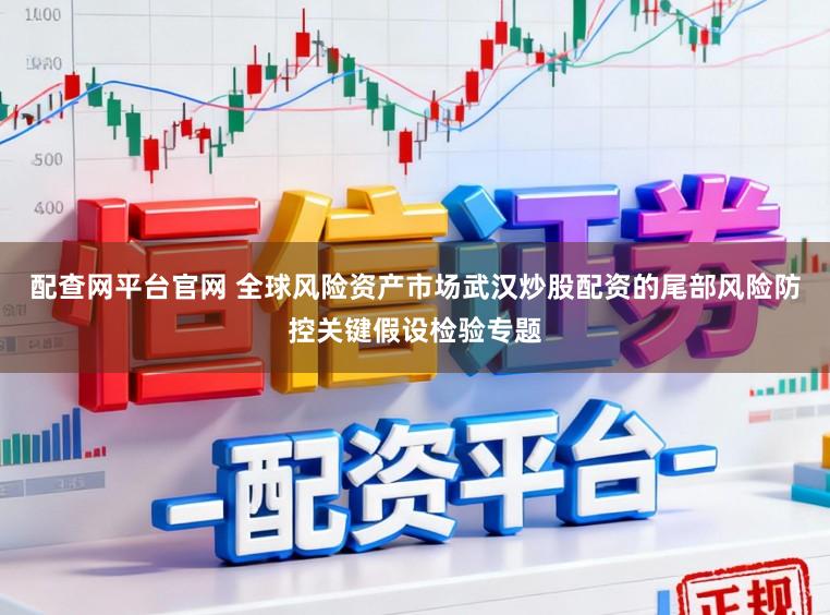 配查网平台官网 全球风险资产市场武汉炒股配资的尾部风险防控关键假设检验专题