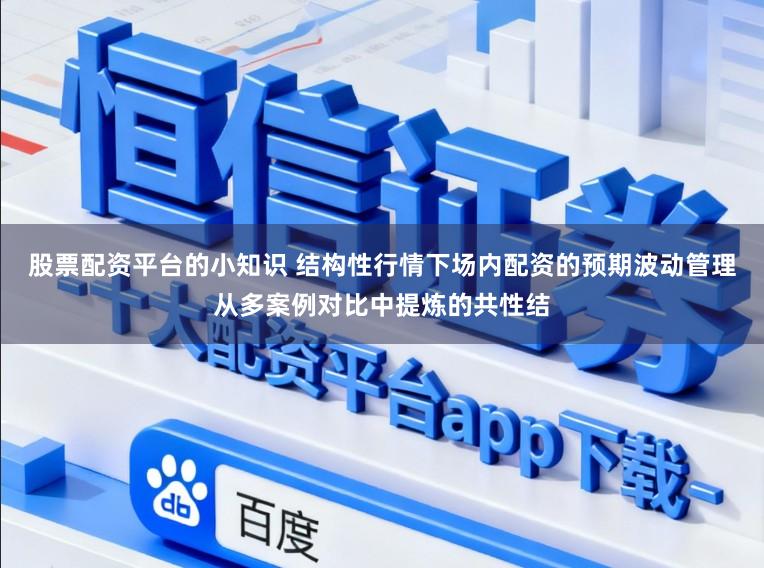 股票配资平台的小知识 结构性行情下场内配资的预期波动管理从多案例对比中提炼的共性结