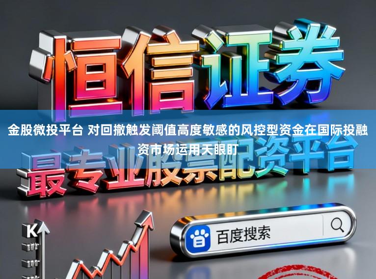 金股微投平台 对回撤触发阈值高度敏感的风控型资金在国际投融资市场运用天眼盯