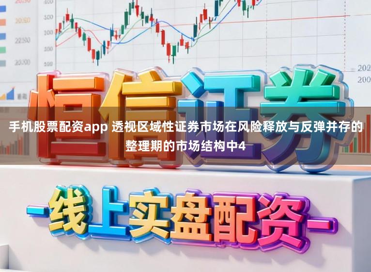 手机股票配资app 透视区域性证券市场在风险释放与反弹并存的整理期的市场结构中4